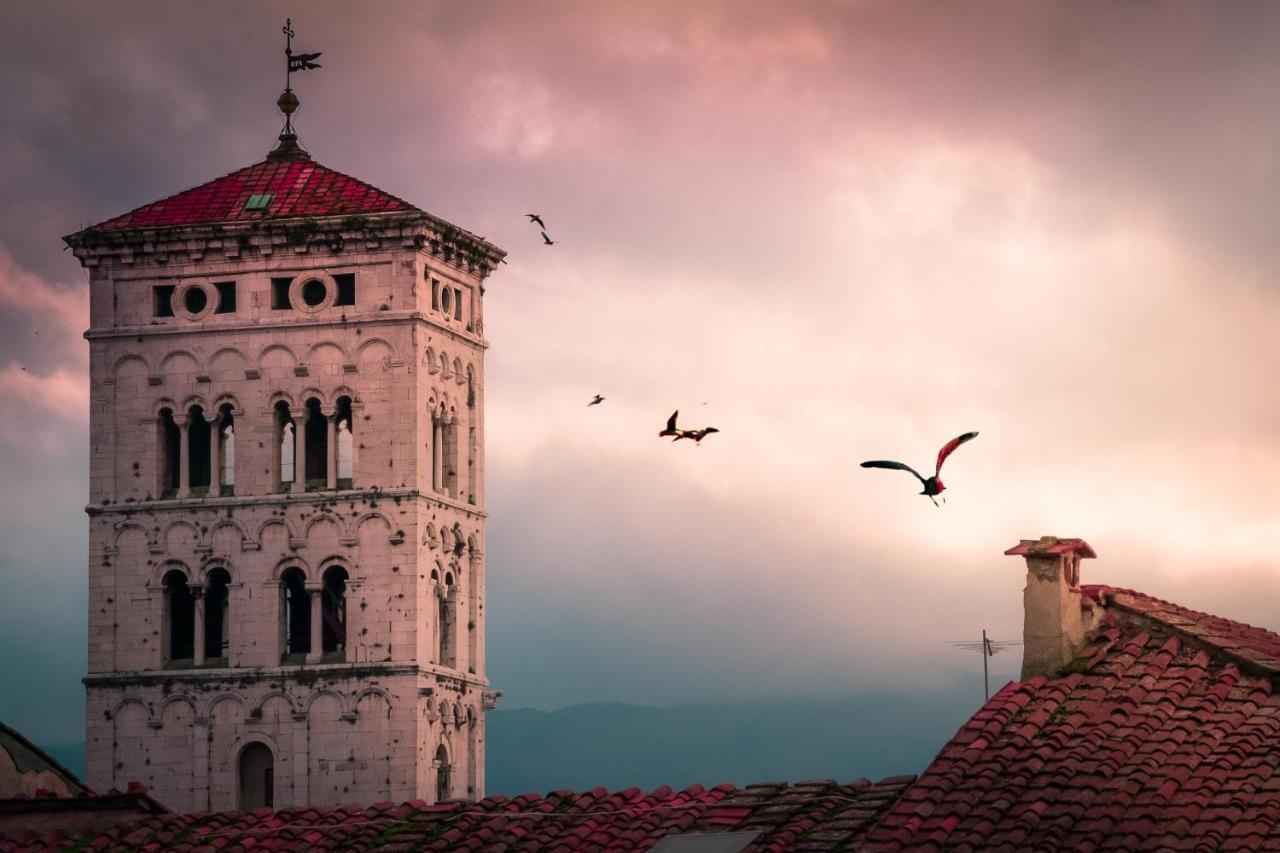 Villa De Maestri - With Elevator Since September 2025 Lucca Ngoại thất bức ảnh
