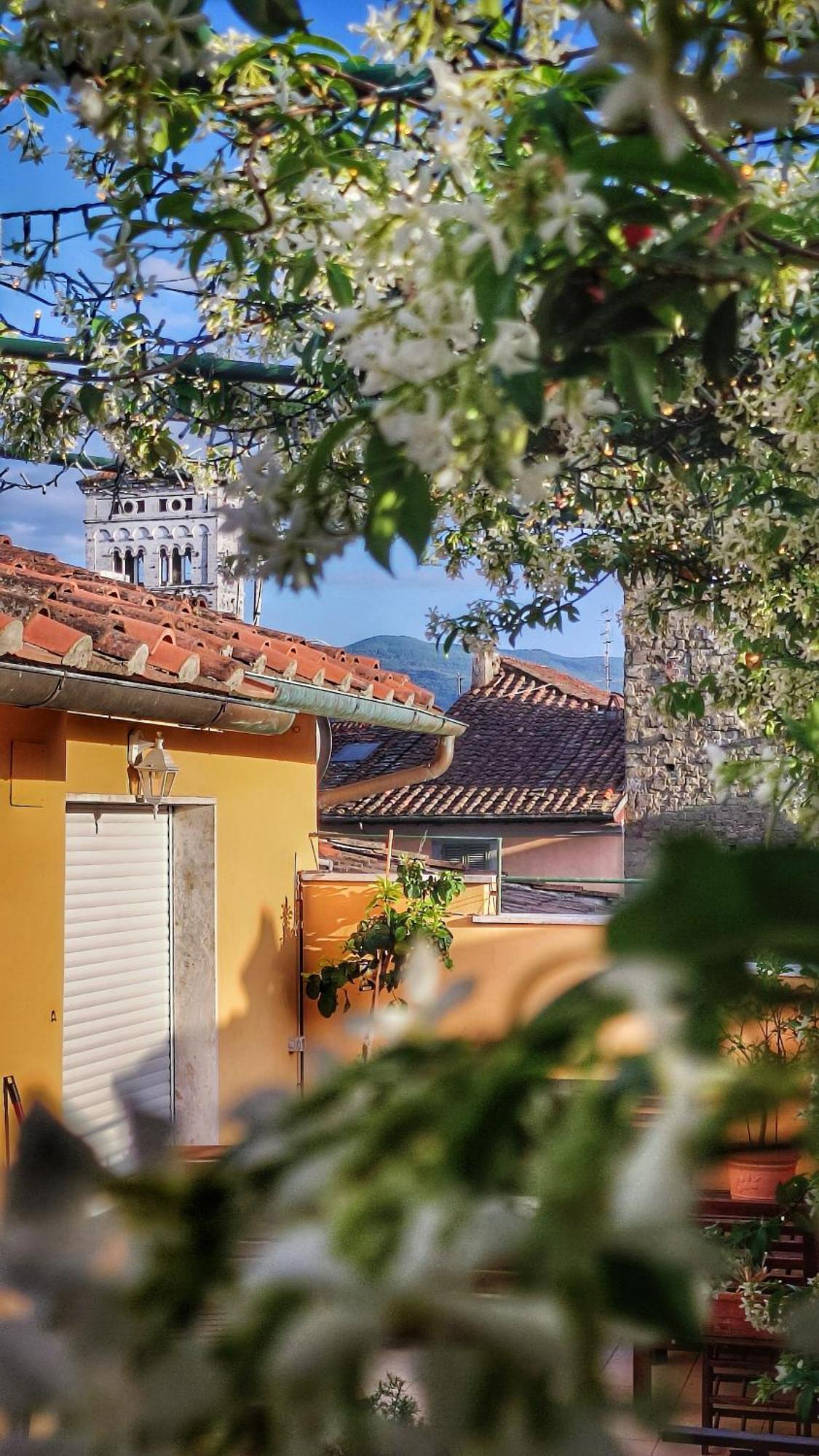 Villa De Maestri - With Elevator Since September 2025 Lucca Ngoại thất bức ảnh
